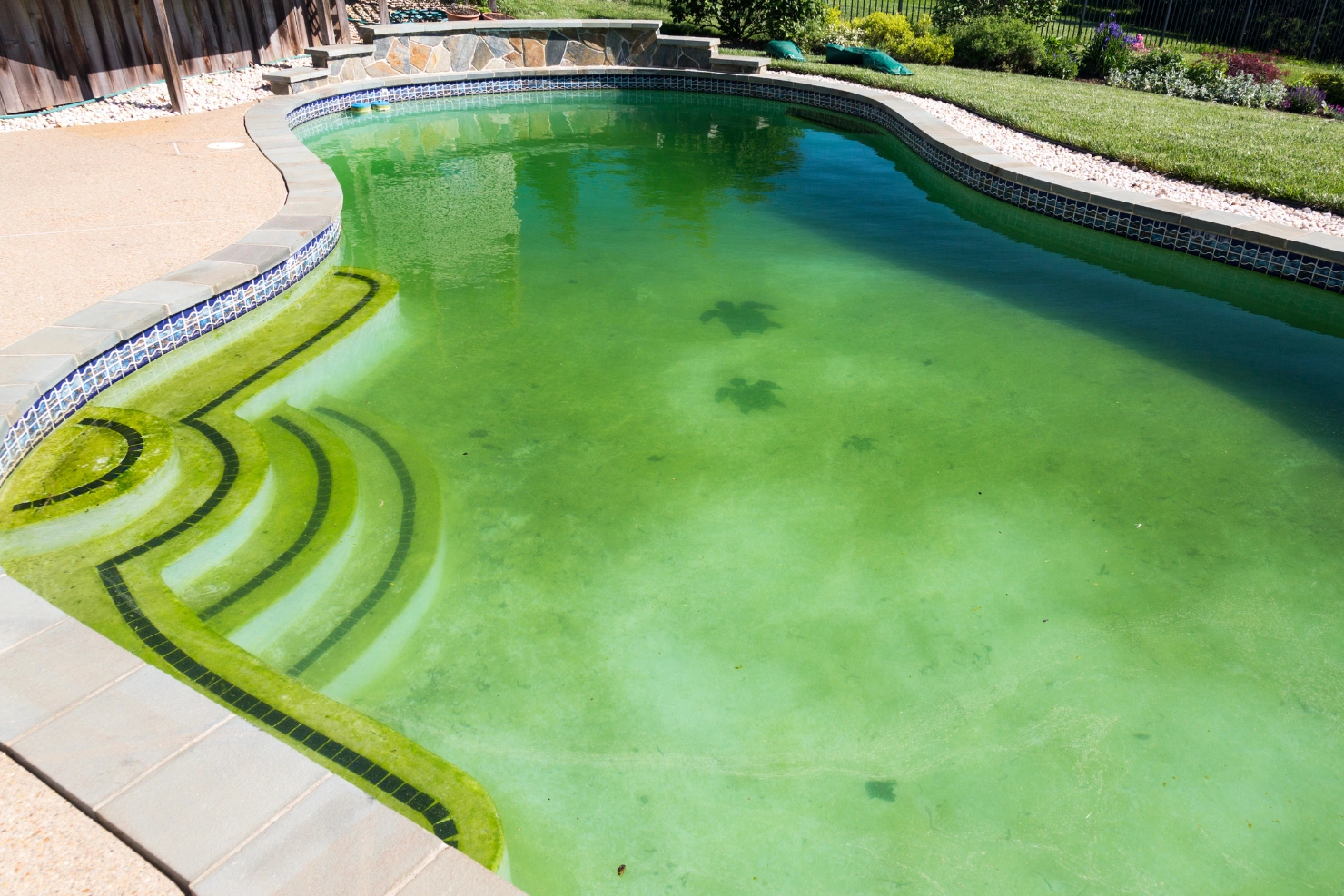 Why Green Pool Water Keeps Coming Back After Chemical Treatment