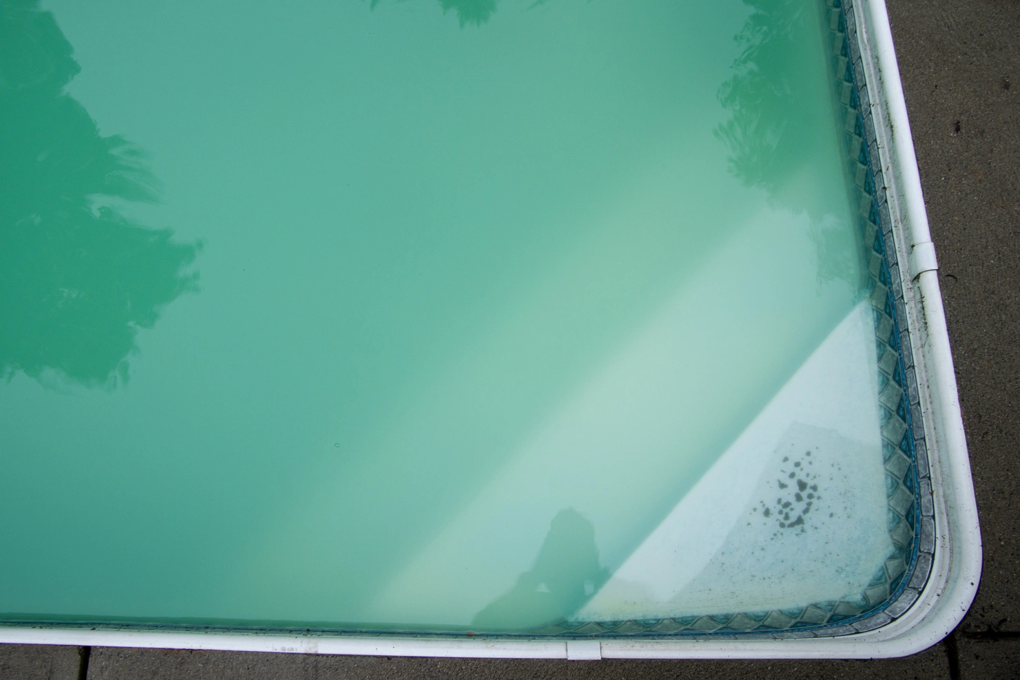 Why Green Pool Water Keeps Coming Back After Chemical Treatment