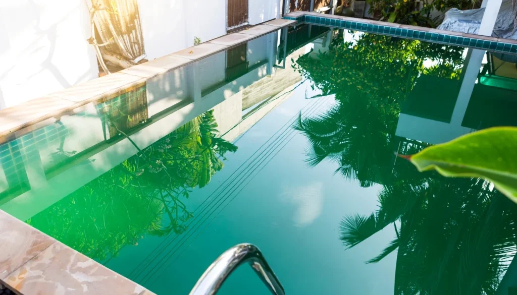 Why Green Pool Water Keeps Coming Back After Chemical Treatment