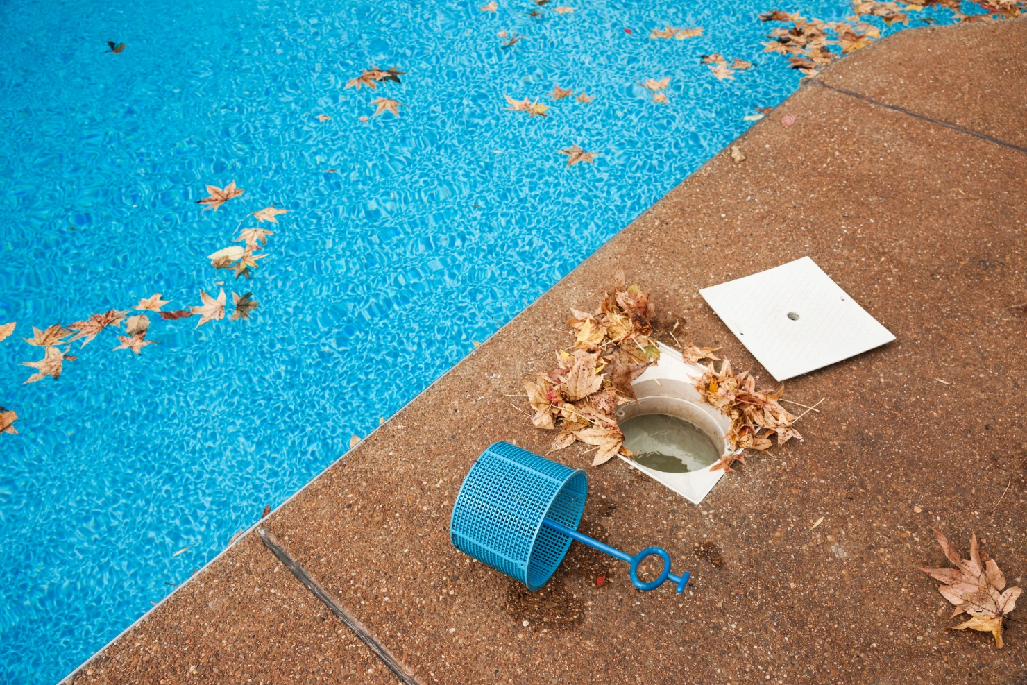 Water Loss Near the Skimmer Should Never Be Ignored for Long